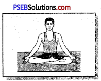 PSEB 11th Class Physical Education Solutions Chapter 4 योग 5