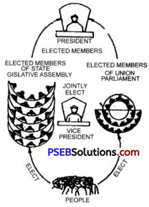 PSEB 11th Class Political Science Solutions Chapter 27 संघीय कार्यपालिका-राष्ट्रपति (1)
