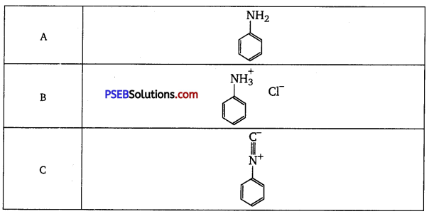 PSEB 12th Class Chemistry Important Questions Chapter 13 Amines 13