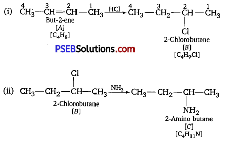 PSEB 12th Class Chemistry Important Questions Chapter 13 Amines 19