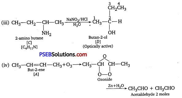 PSEB 12th Class Chemistry Important Questions Chapter 13 Amines 20
