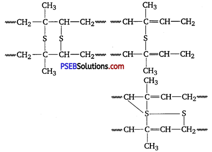 PSEB 12th Class Chemistry Important Questions Chapter 15 Polymers 10
