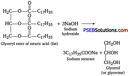 PSEB 12th Class Chemistry Important Questions Chapter 16 Chemistry in Everyday Life 1