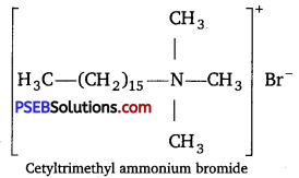 PSEB 12th Class Chemistry Important Questions Chapter 16 Chemistry in Everyday Life 2