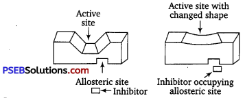 PSEB 12th Class Chemistry Important Questions Chapter 16 Chemistry in Everyday Life 4