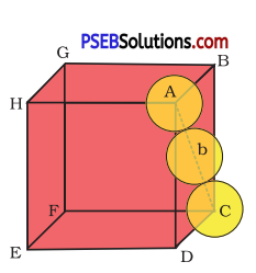 PSEB 12th Class Chemistry Solutions Chapter 1 The Solid State 8