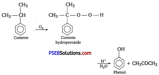 PSEB 12th Class Chemistry Solutions Chapter 11 Alcohols, Phenols and Ethers 11