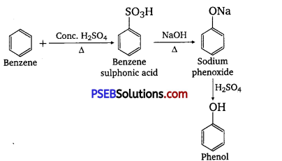 PSEB 12th Class Chemistry Solutions Chapter 11 Alcohols, Phenols and Ethers 16