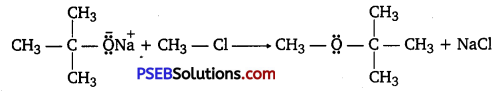 PSEB 12th Class Chemistry Solutions Chapter 11 Alcohols, Phenols and Ethers 43