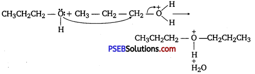 PSEB 12th Class Chemistry Solutions Chapter 11 Alcohols, Phenols and Ethers 47