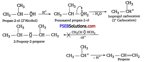 PSEB 12th Class Chemistry Solutions Chapter 11 Alcohols, Phenols and Ethers 50