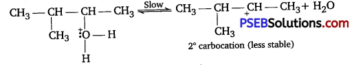 PSEB 12th Class Chemistry Solutions Chapter 11 Alcohols, Phenols and Ethers 68