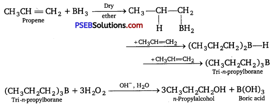 PSEB 12th Class Chemistry Solutions Chapter 11 Alcohols, Phenols and Ethers 8