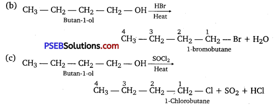 PSEB 12th Class Chemistry Solutions Chapter 11 Alcohols, Phenols and Ethers 81