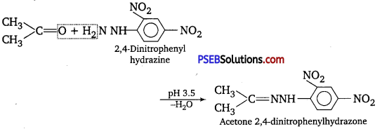 PSEB 12th Class Chemistry Solutions Chapter 12 Aldehydes, Ketones and Carboxylic Acids 10