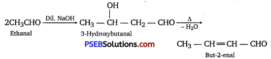 PSEB 12th Class Chemistry Solutions Chapter 12 Aldehydes, Ketones and Carboxylic Acids 22