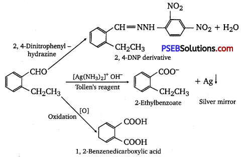 PSEB 12th Class Chemistry Solutions Chapter 12 Aldehydes, Ketones and Carboxylic Acids 29