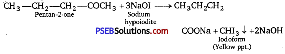 PSEB 12th Class Chemistry Solutions Chapter 12 Aldehydes, Ketones and Carboxylic Acids 37