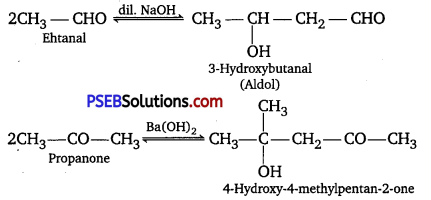 PSEB 12th Class Chemistry Solutions Chapter 12 Aldehydes, Ketones and Carboxylic Acids 4
