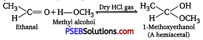 PSEB 12th Class Chemistry Solutions Chapter 12 Aldehydes, Ketones and Carboxylic Acids 5