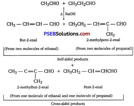 PSEB 12th Class Chemistry Solutions Chapter 12 Aldehydes, Ketones and Carboxylic Acids 51