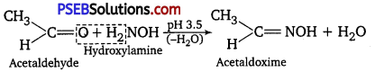 PSEB 12th Class Chemistry Solutions Chapter 12 Aldehydes, Ketones and Carboxylic Acids 6