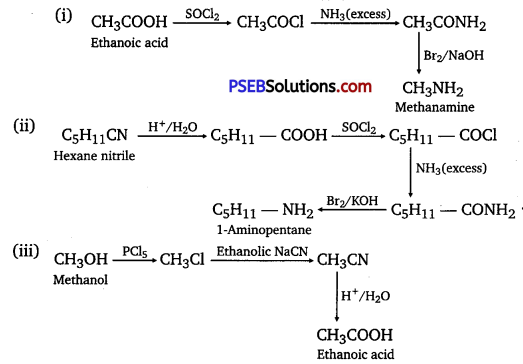 PSEB 12th Class Chemistry Solutions Chapter 13 Amines 14