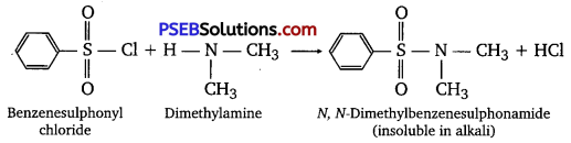 PSEB 12th Class Chemistry Solutions Chapter 13 Amines 18
