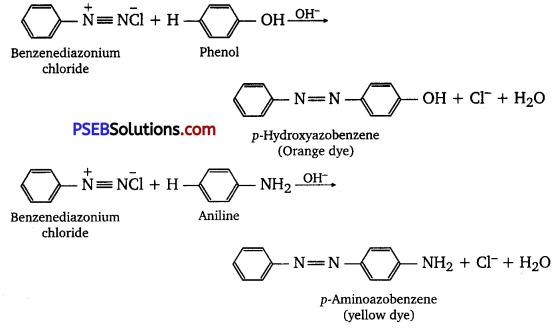 PSEB 12th Class Chemistry Solutions Chapter 13 Amines 22