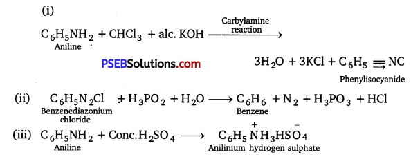 PSEB 12th Class Chemistry Solutions Chapter 13 Amines 46