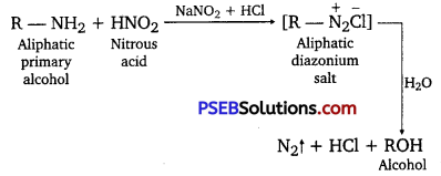 PSEB 12th Class Chemistry Solutions Chapter 13 Amines 51