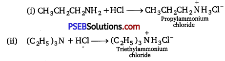 PSEB 12th Class Chemistry Solutions Chapter 13 Amines 62