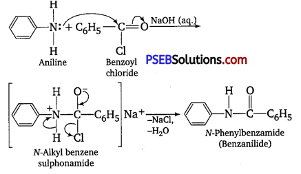 PSEB 12th Class Chemistry Solutions Chapter 13 Amines 64