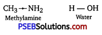 PSEB 12th Class Chemistry Solutions Chapter 13 Amines 8