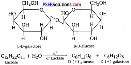 PSEB 12th Class Chemistry Solutions Chapter 14 Biomolecules 17