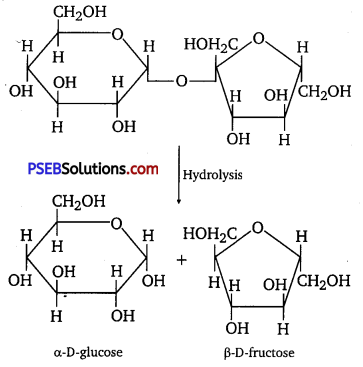 PSEB 12th Class Chemistry Solutions Chapter 14 Biomolecules 2