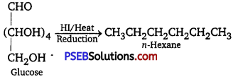 PSEB 12th Class Chemistry Solutions Chapter 14 Biomolecules 7