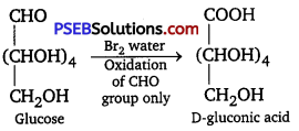 PSEB 12th Class Chemistry Solutions Chapter 14 Biomolecules 8