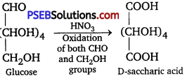 PSEB 12th Class Chemistry Solutions Chapter 14 Biomolecules 9