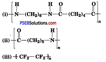 PSEB 12th Class Chemistry Solutions Chapter 15 Polymers 20