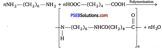 PSEB 12th Class Chemistry Solutions Chapter 15 Polymers 4