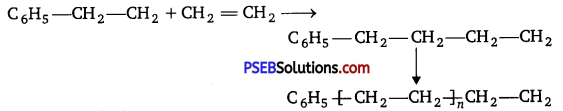 PSEB 12th Class Chemistry Solutions Chapter 15 Polymers 6