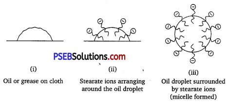 PSEB 12th Class Chemistry Solutions Chapter 16 Chemistry in Everyday Life 3