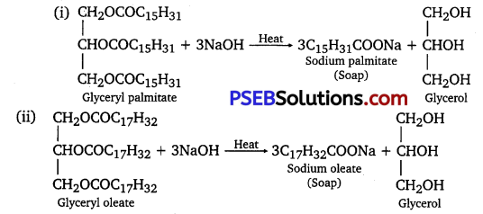 PSEB 12th Class Chemistry Solutions Chapter 16 Chemistry in Everyday Life 5