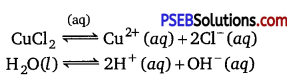 PSEB 12th Class Chemistry Solutions Chapter 3 Electrochemistry 21