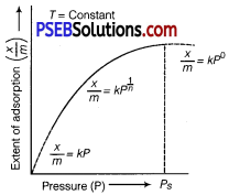 PSEB 12th Class Chemistry Solutions Chapter 5 Surface Chemistry 1