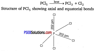PSEB 12th Class Chemistry Solutions Chapter 7 The p-Block Elements 24