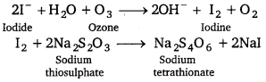 PSEB 12th Class Chemistry Solutions Chapter 7 The p-Block Elements 30