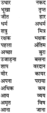 PSEB 5th Class Hindi Grammar Vyakaran 11