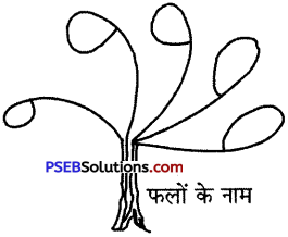 PSEB 5th Class Hindi Grammar Vyakaran 22